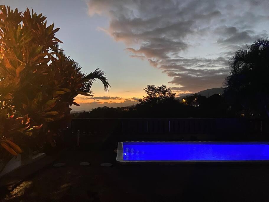 Cocooning Tropic Studio Avec Jacuzzi Privatif Saint-Louis Eksteriør billede