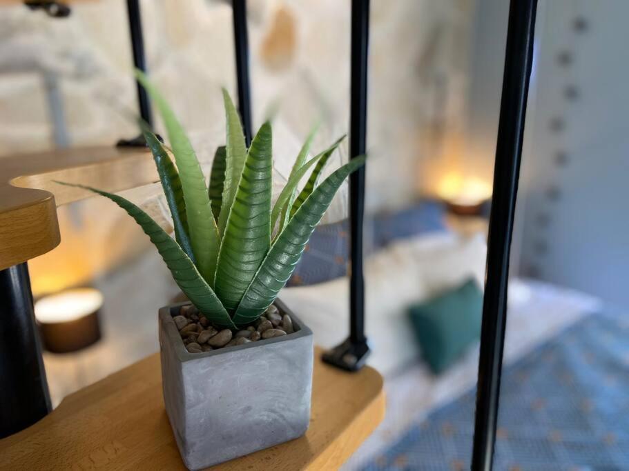 Cocooning Tropic Studio Avec Jacuzzi Privatif Saint-Louis Eksteriør billede